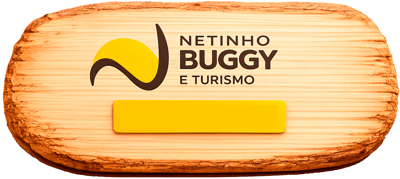 Netinho Buggy e Turismo